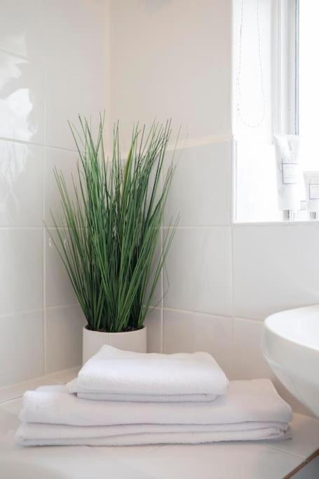 Willa 3 Bed House/Garden/Wi-Fi/Parking/Central Location Guildford Zewnętrze zdjęcie